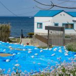 【撮影旅行】海岸の景色とおしゃれイタリアンを堪能する! – オステリアベッカフィーコ@千葉房総半島