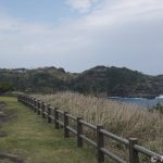 【撮影旅行】写真を撮りたい人のための、東京から気軽に離島を満喫プラン – 伊豆大島Part1