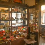 【撮影旅行】たい焼きで青春を取り返せ! – 島京梵天とその周辺@伊豆大島